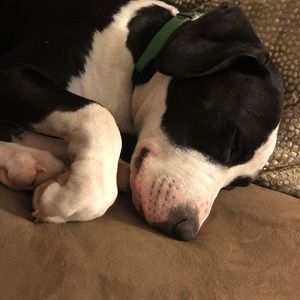 Meet your Posher, Carrie